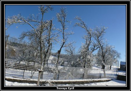 2008_12_27_Le_givre_sur_les_arbres_et_le_grillage