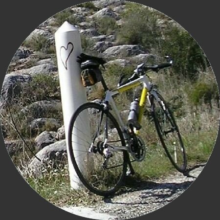 monvelo_2