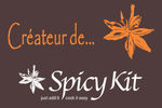 cr_ateur_de_spicykit_logo