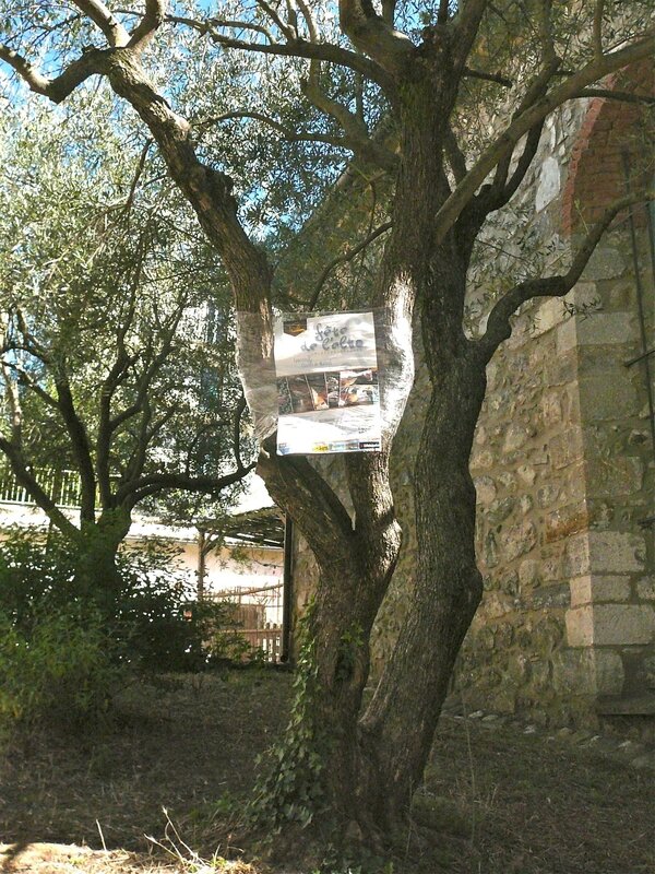 Affiche_arbre