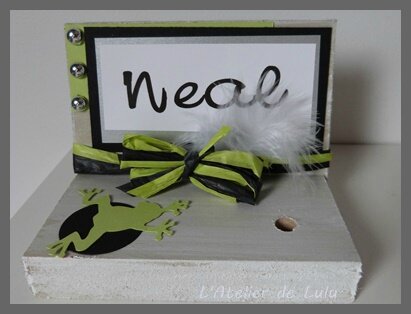 porte stylo grenouilles
