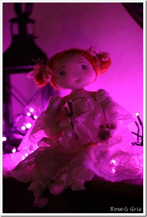IMG_3486 IMG_3486