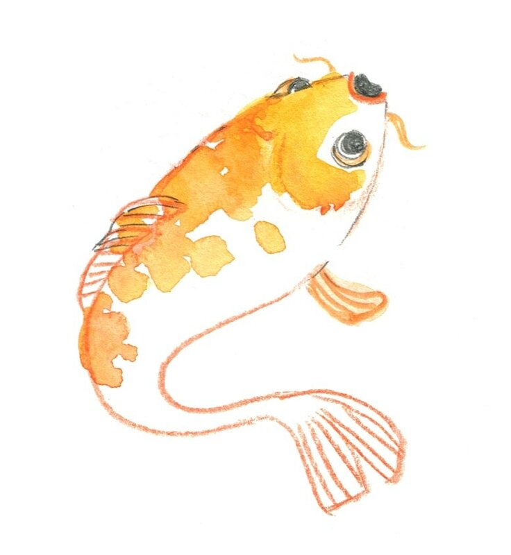 poissonb