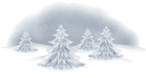 sapins
