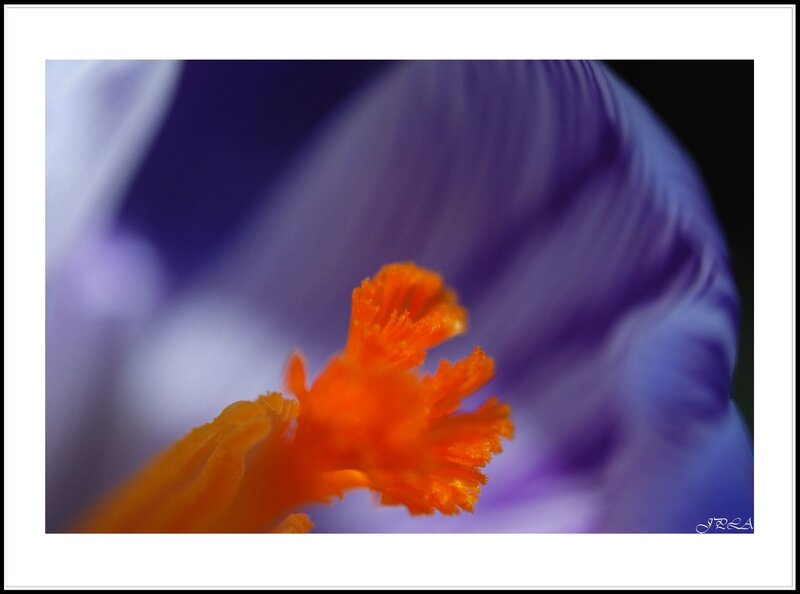 14 03 06 14 02 26 105macro 9014 c