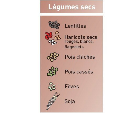 Les légumes secs - alimentation étudiant Les légumes secs - alimentation étudiant