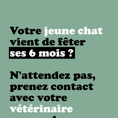 Faire tableau rencontre sportive