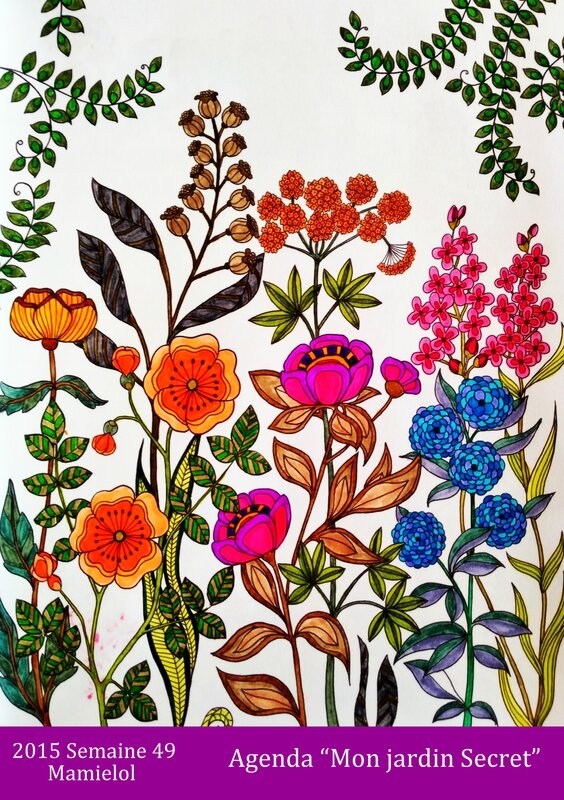 Mon Jardin Secret-Semaine 49