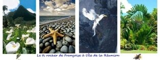 NOUVELLE BANNIERE CANALBLOG 18 MAI 17 PETIT FORMAT