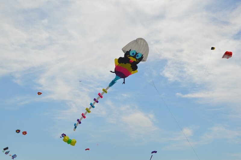 rencontres cerf volants berck