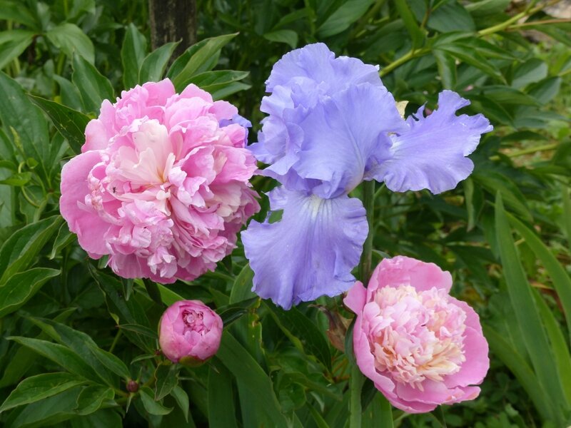P1050402