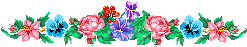 ligneFL14