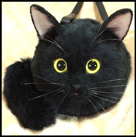pico chat pico chat