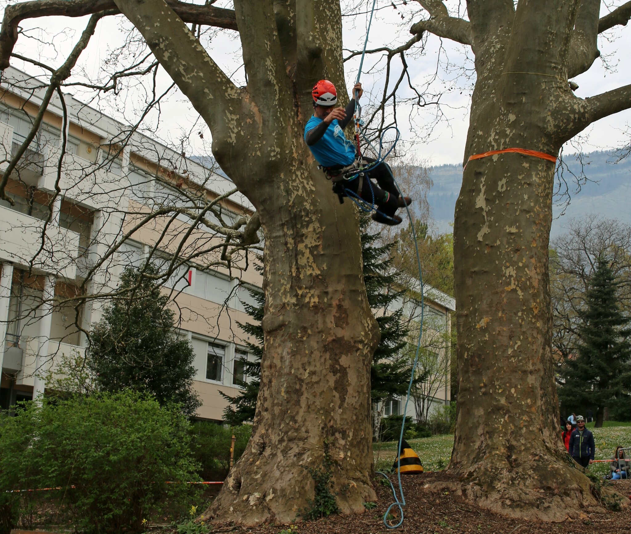 rencontre arboriste