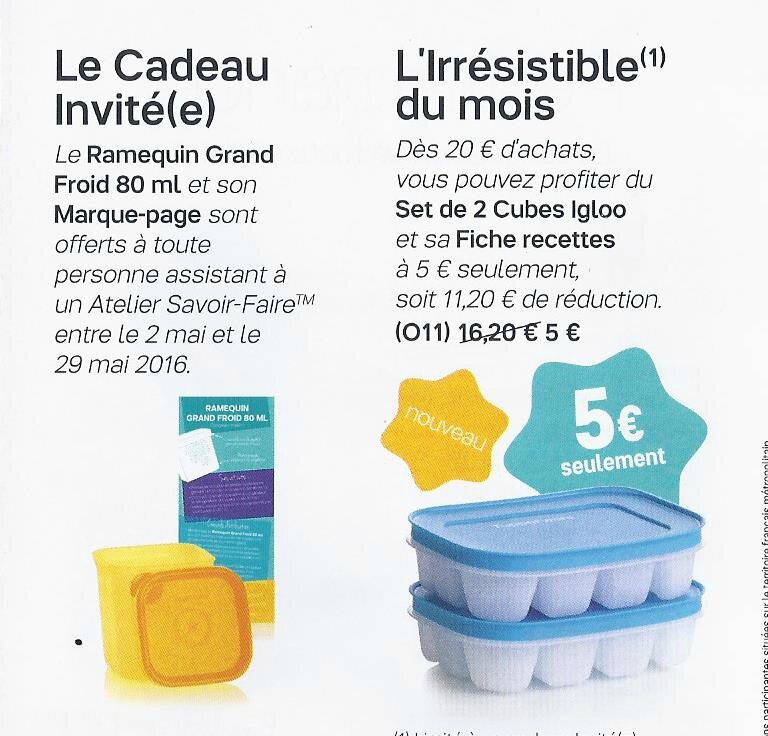 Terrine de courgettes au cumin et à la menthe Tupperware sur Bordeaux