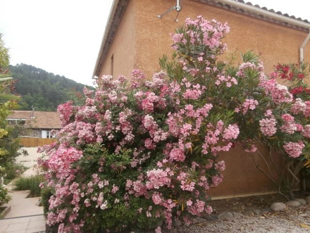 P5030003