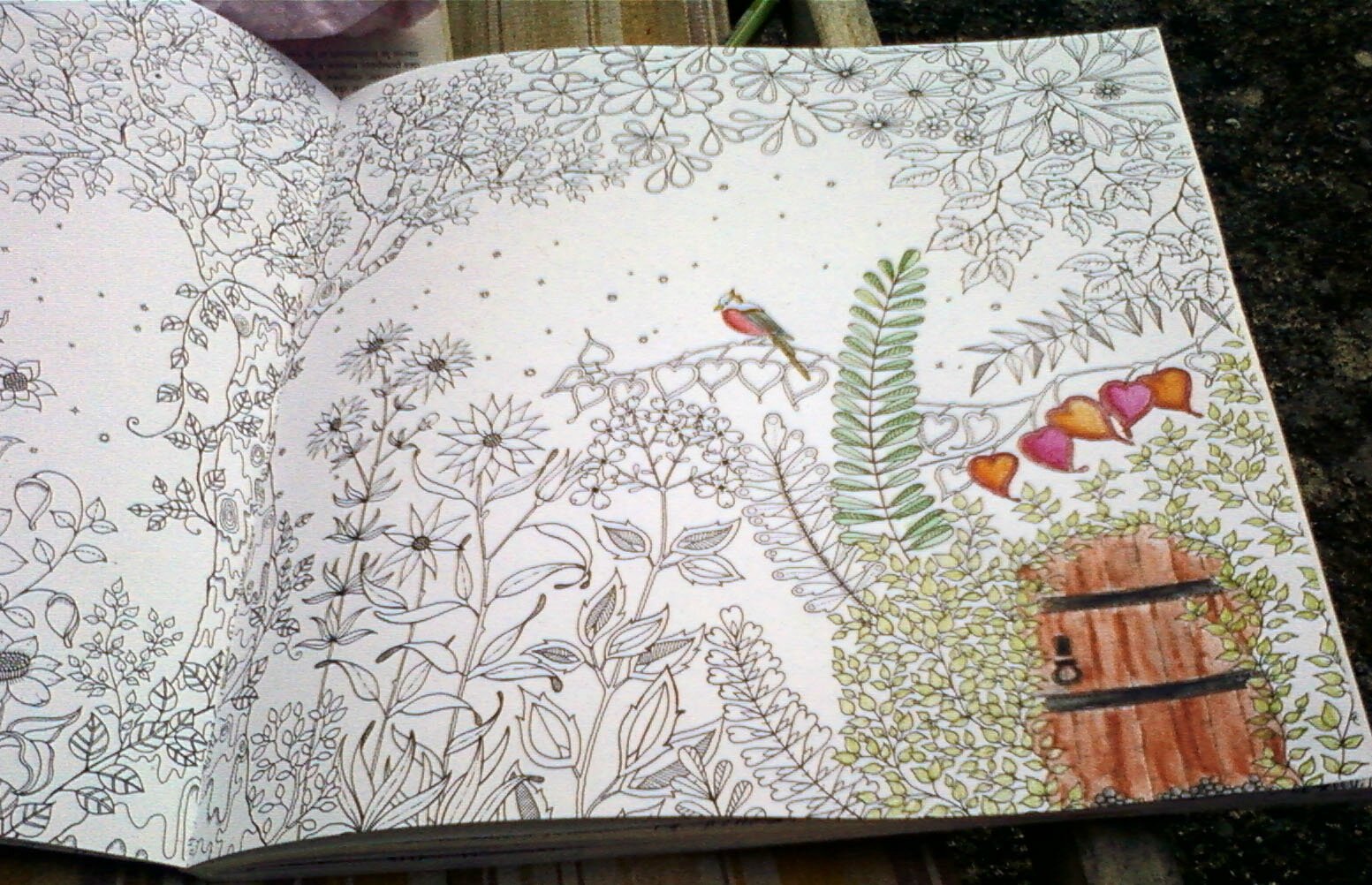 celle que j ai terminée aux crayons aquarellables