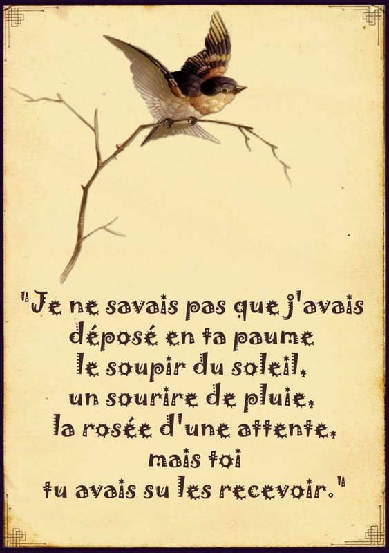 Nadine Perles Nadine Perles