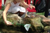 fishing