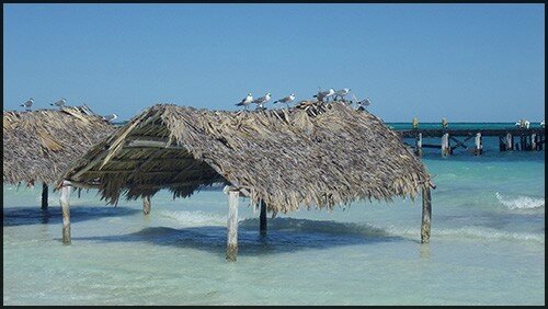 Cuba 2014 290