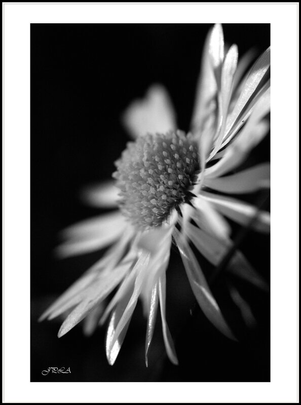 14 03 03 14 02 26 105macro 9046 b