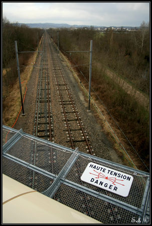 IMG_4228_border