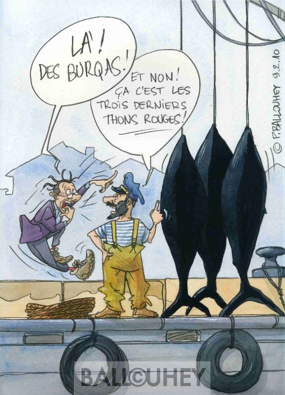 SURPÊCHE ET MŒURS