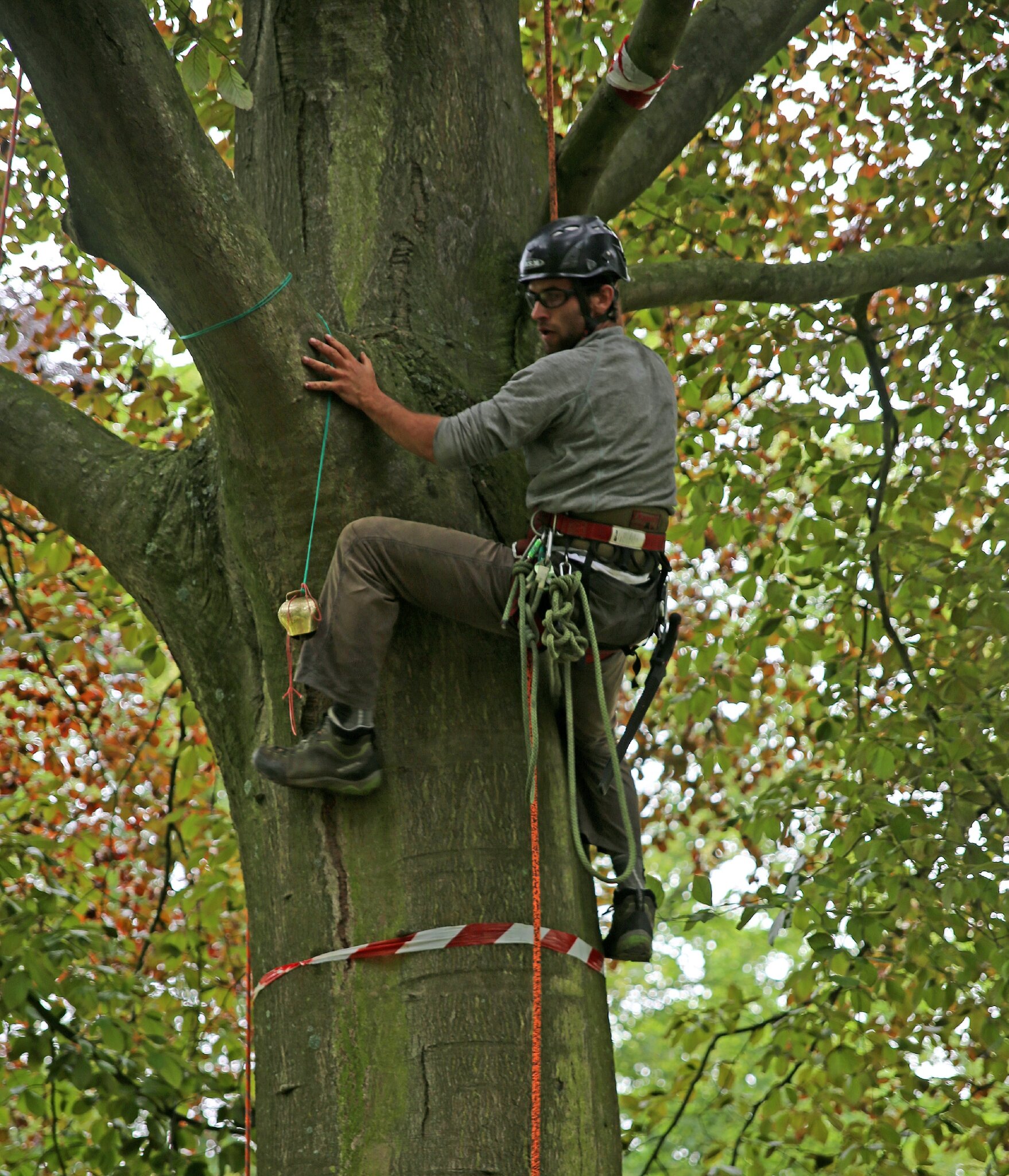 Rencontre regionale d'arboriculture ile de france