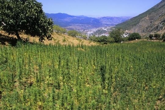 rencontre avec un ancien détenu de tazmamart