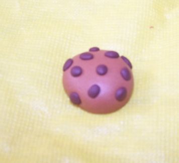 Tutobiscuit5