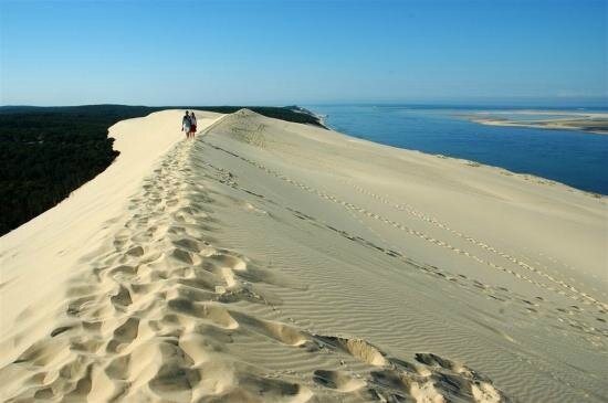 86191782dunedupylatpe-jpg