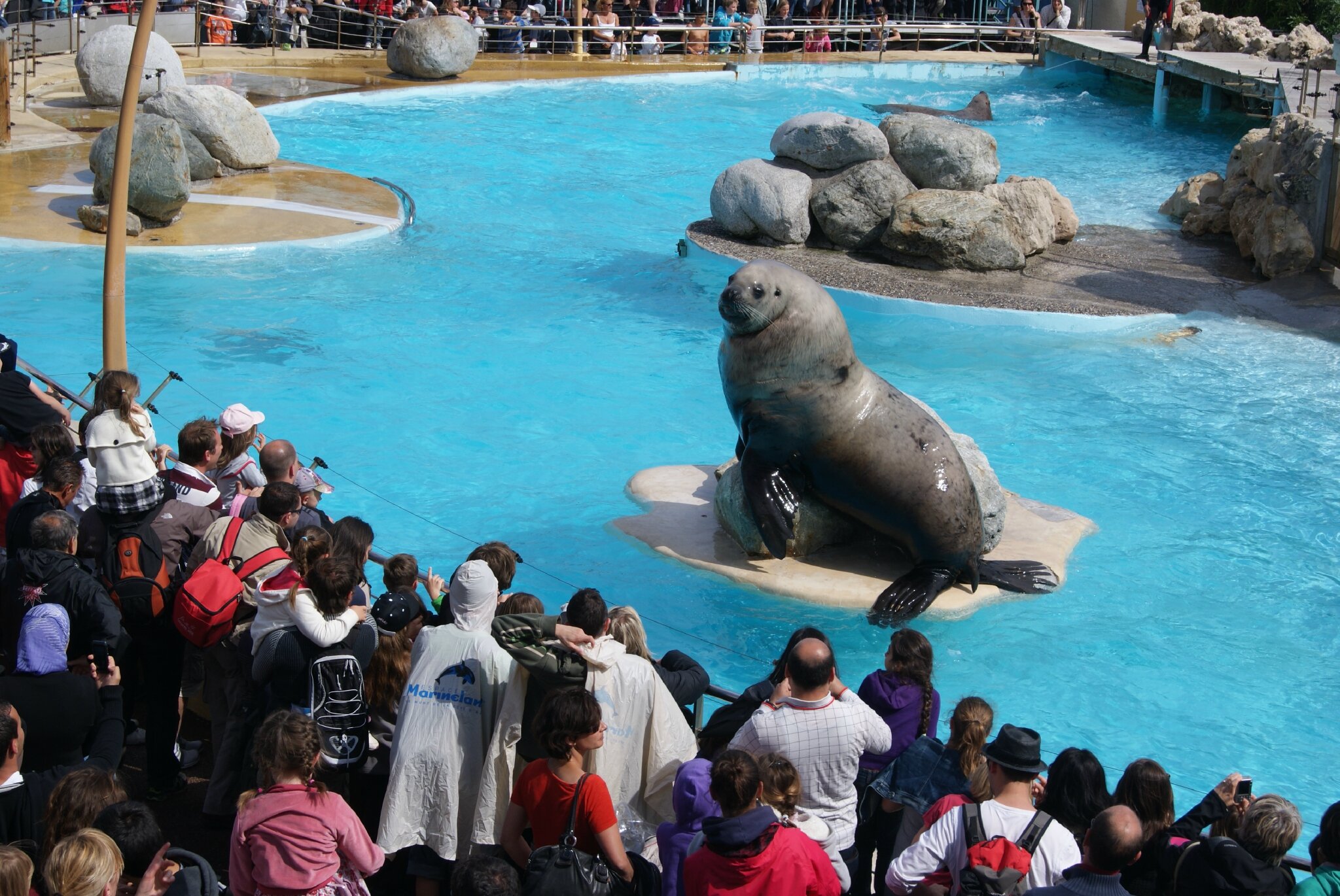 avis rencontre otaries marineland