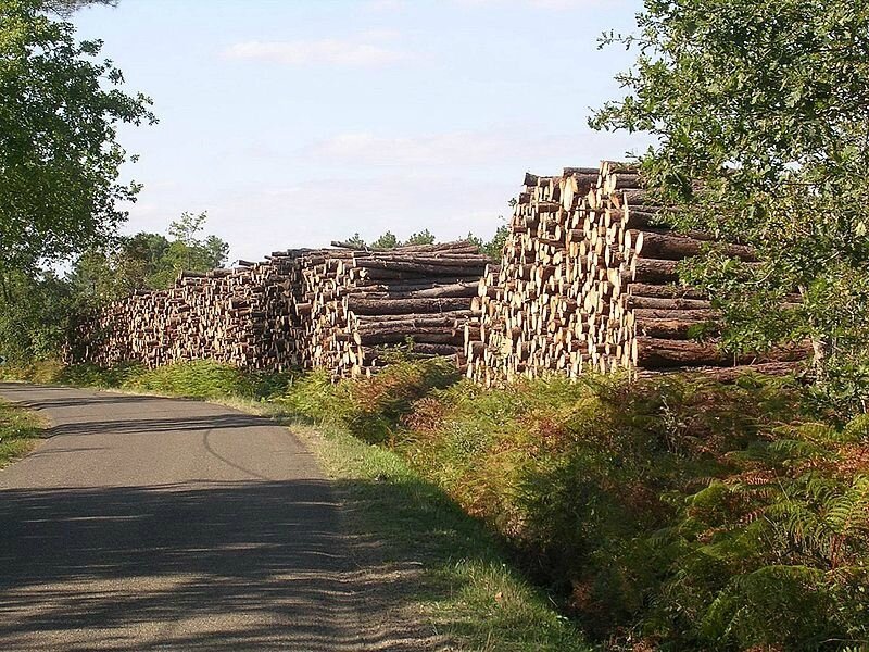 800px-Saint_Perdon_bois