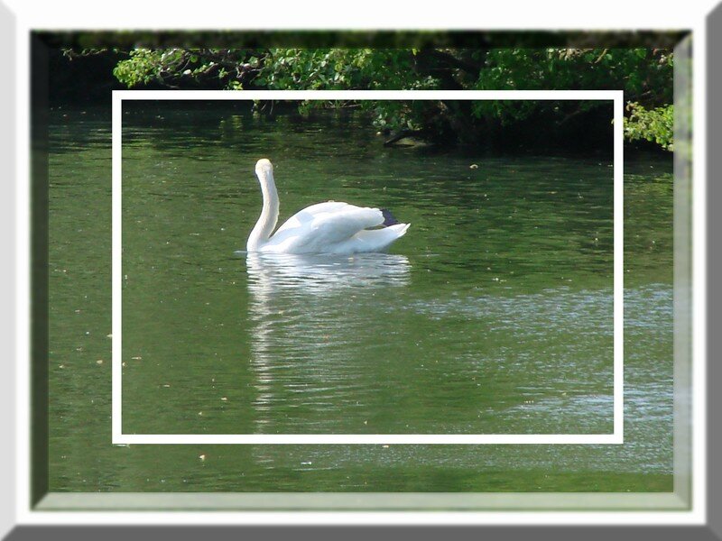 Rencontres eau espaces especes