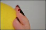 DSC_6659blog