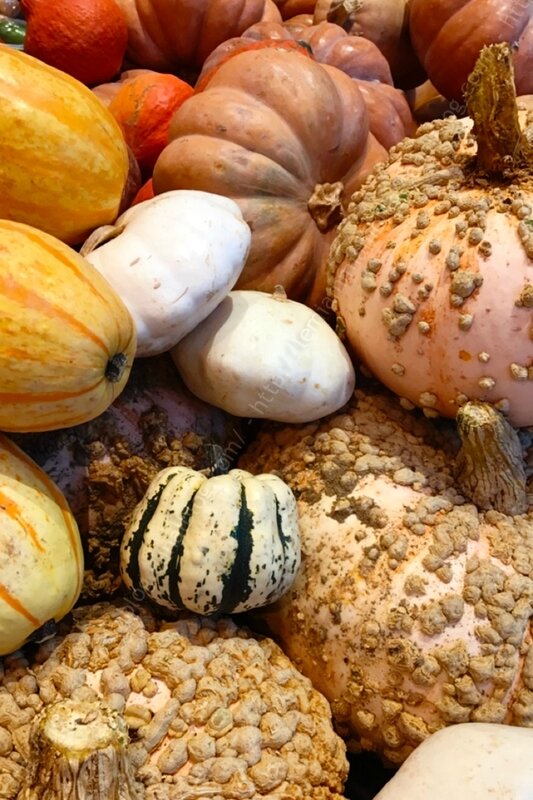 LE MIAM MIAM BLOG soupe de courge patidous et feve tonka 03