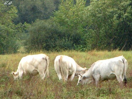 Photo_820