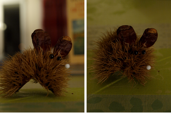 souris_de_bogue_600_01