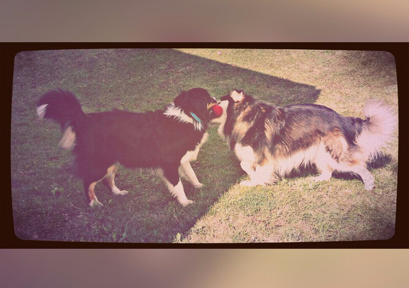 PicsArt_07-26-10