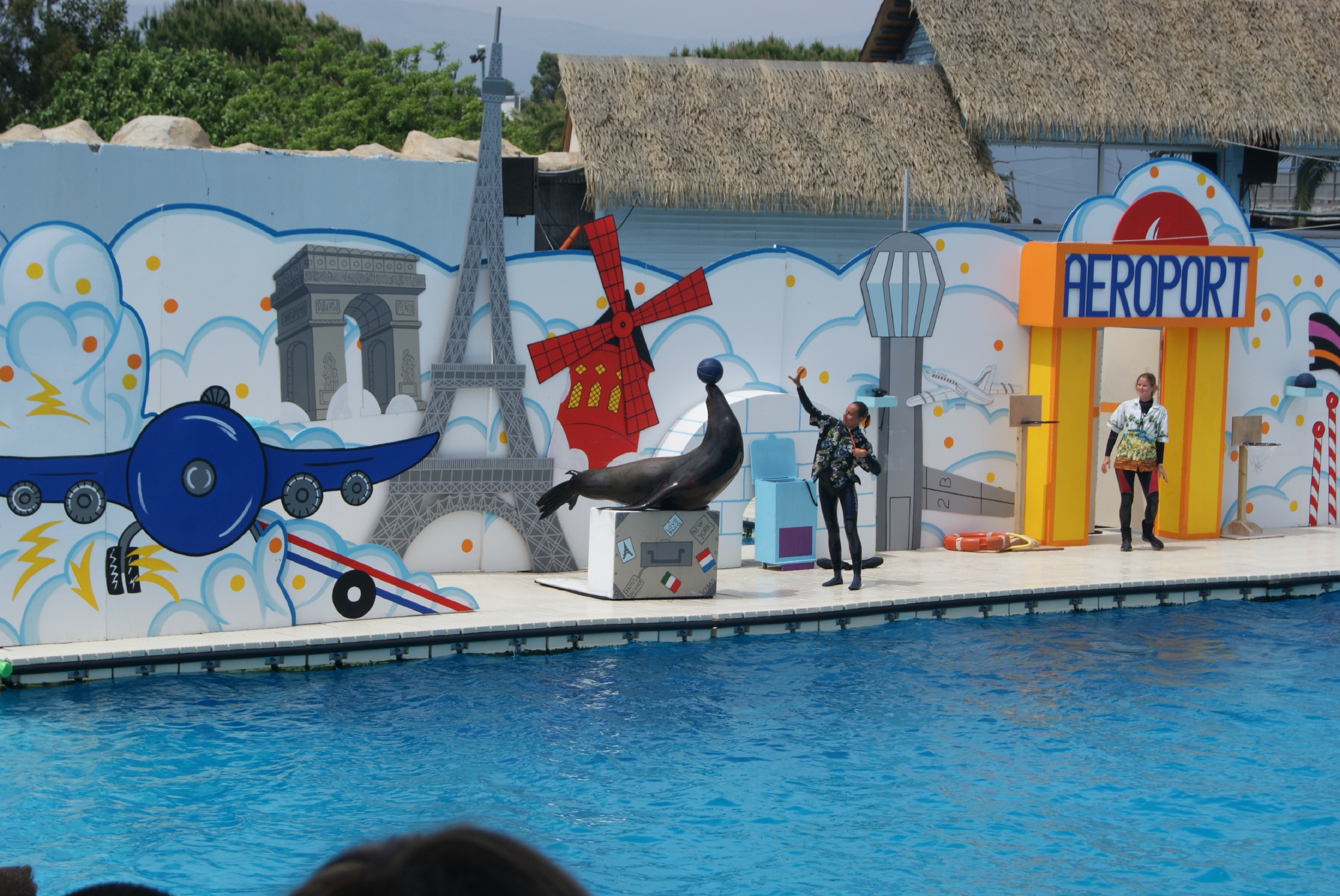 Rencontre avec les dauphins marineland combien de temps