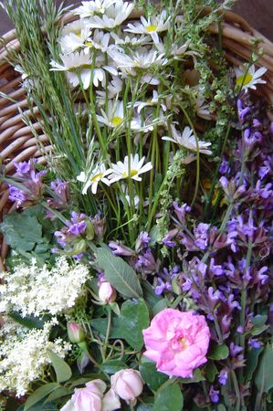 fleurs 002