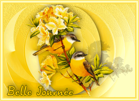 ♥ L'hirondelle de fenêtre ♥ - ♥ Mon jardin du Bonheur ♥