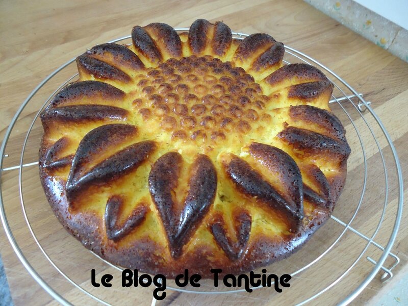 gateau_oranges_th1