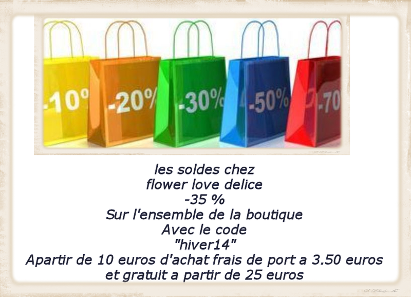 soldes hiver14