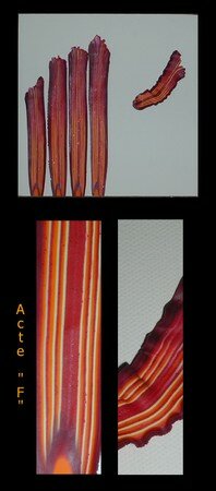Acte_F