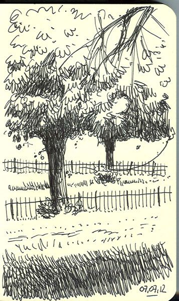 arbres
