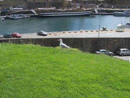Brest_00027