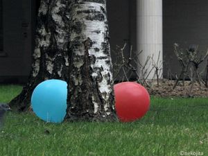 IMG_1111d