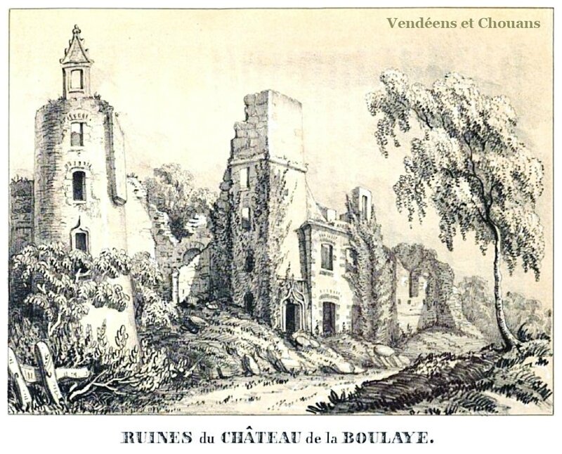 Ruines du Château de la Boulaye