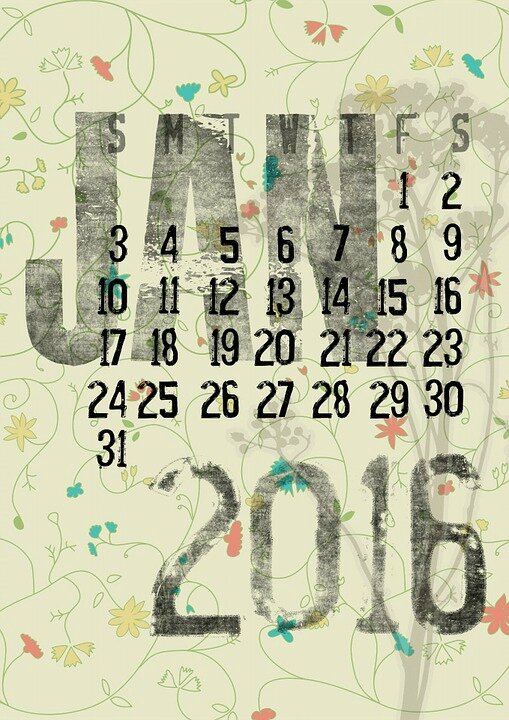 january-1041630_960_720